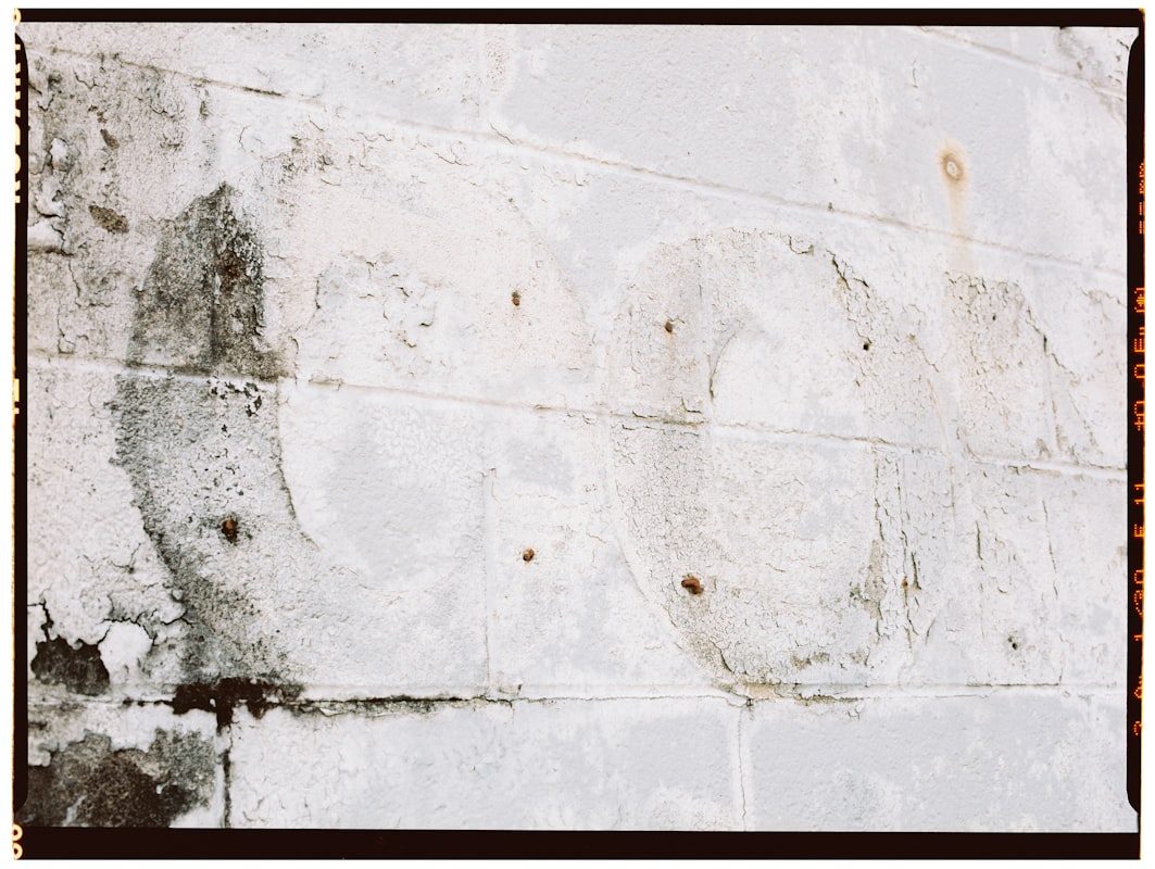 Sewage Cleanup service in Blaine, MN